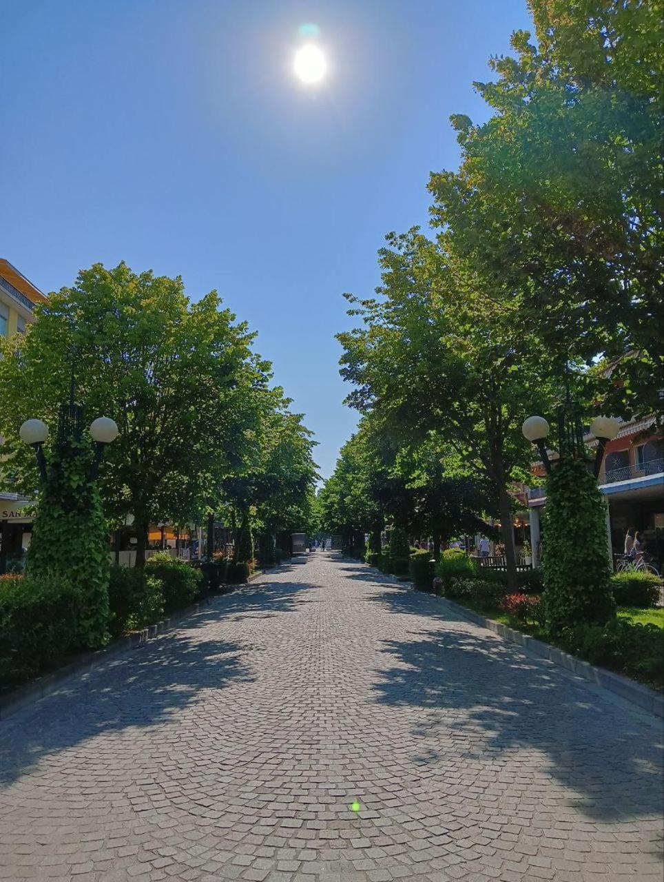 Viale Aurora Apartment บิบิโอเน ภายนอก รูปภาพ
